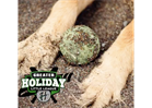 Dogs are not allowed at GHLL fields